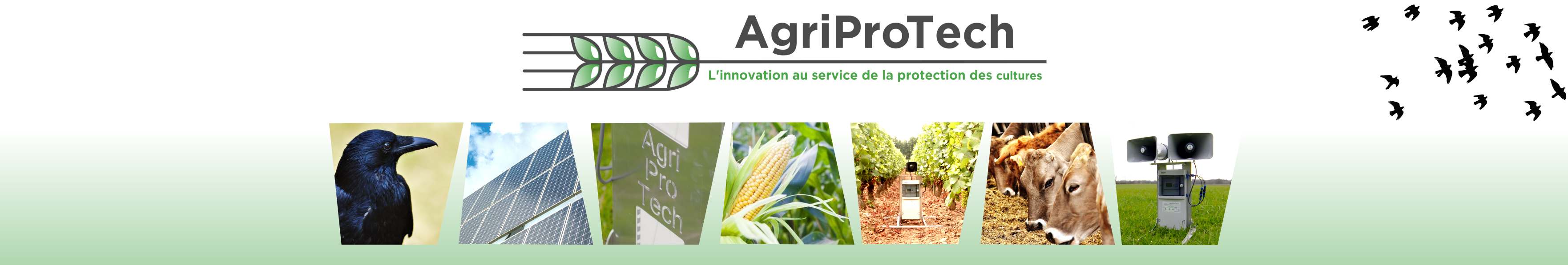 Banner AGRIPROTECH