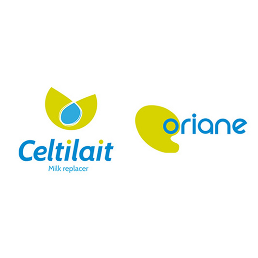 CELTILAIT - ORIANE