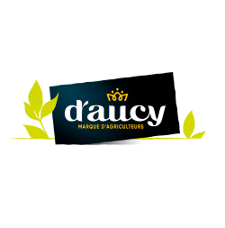 D'AUCY FRANCE