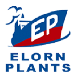 ELORN PLANTS