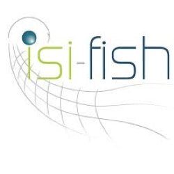 ISI-FISH