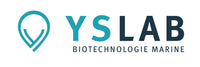 YSLAB