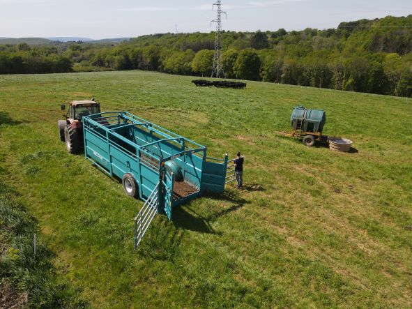 Cattle trailers - Rollvan