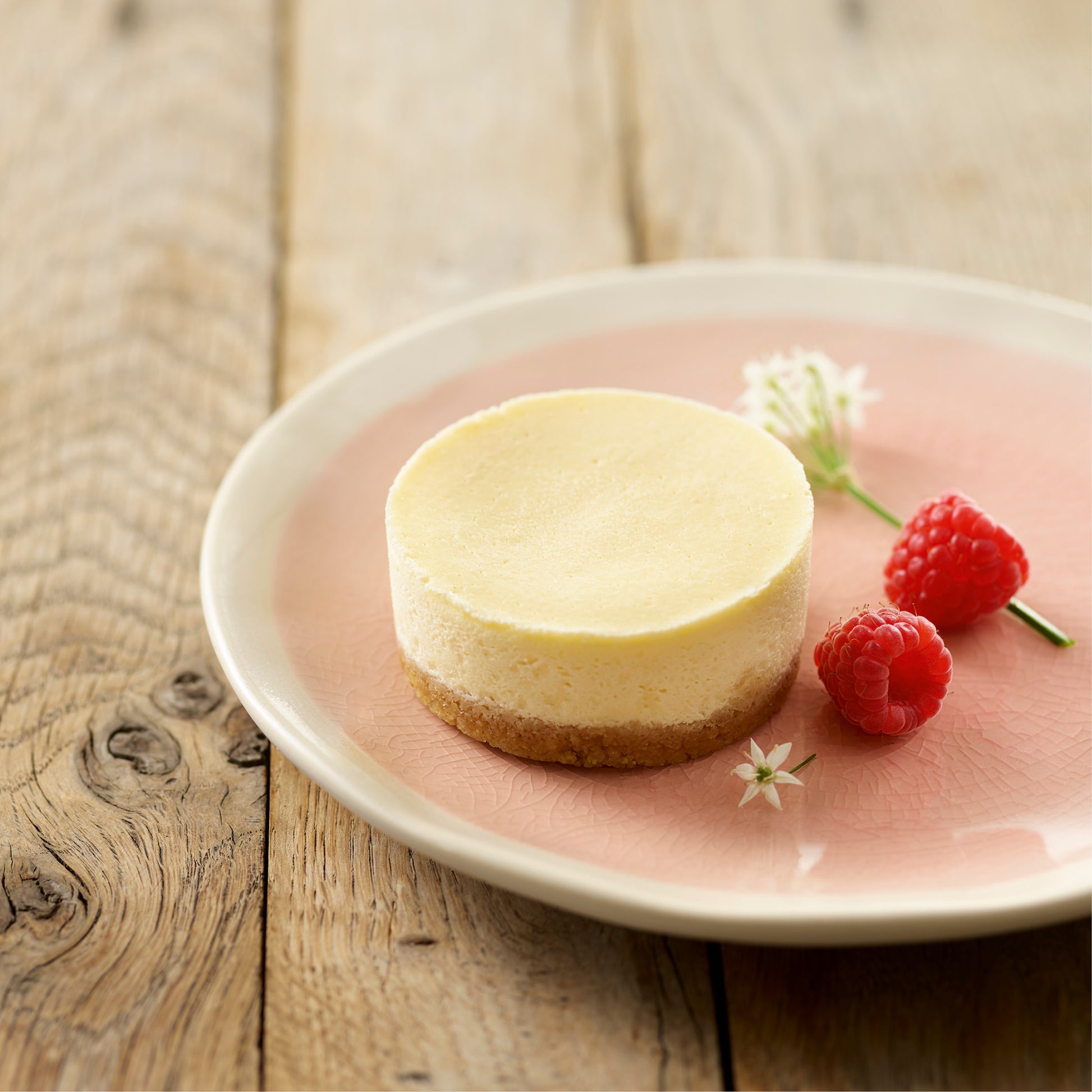 Cheesecake Premium