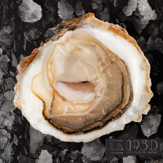 European Belon Oyster