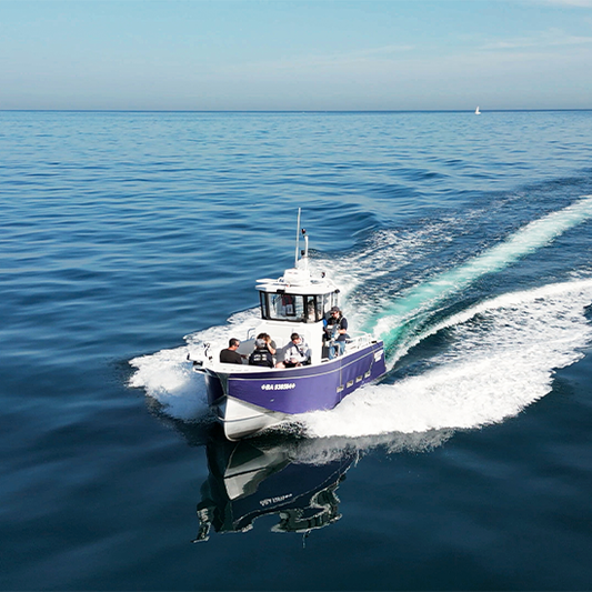 Fishing boats