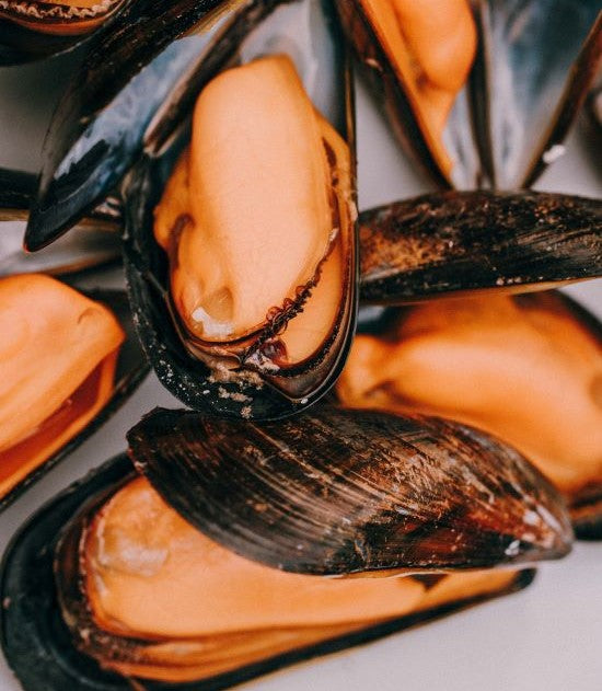 MORISSEAU® BOUCHOT MUSSELS