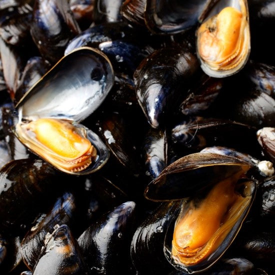 Mussels