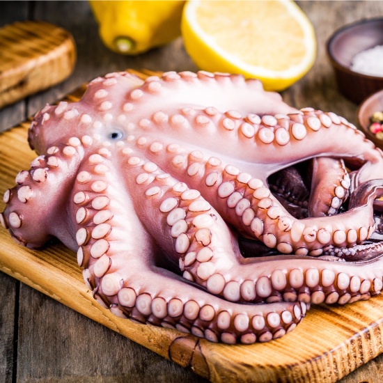 Octopus