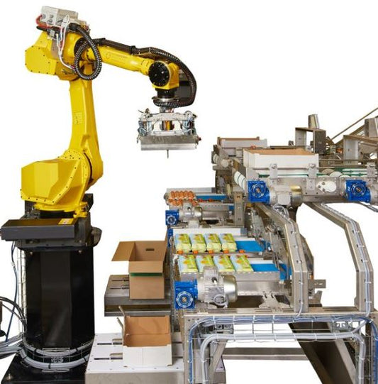 Ovocaser packing robot