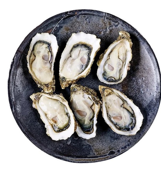 Oysters - Crassostrea Gigas