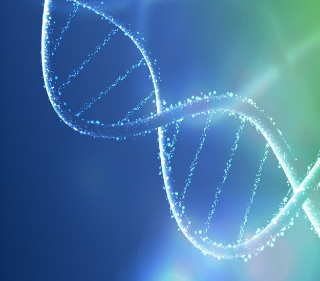 Polynucleotides - PDRN - PN 