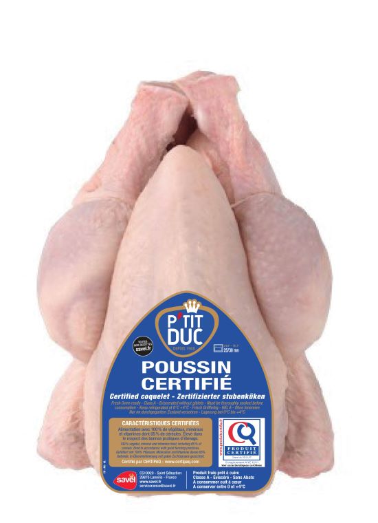 Poussin P'TIT DUC PAC 