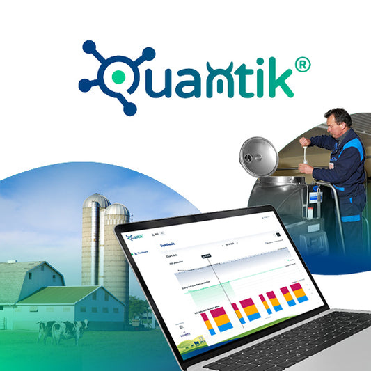 Quantik