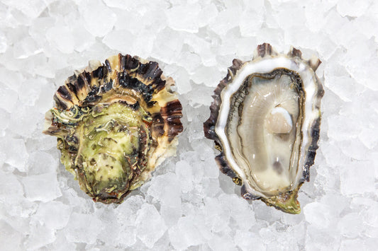 Quiberon hollow oysters