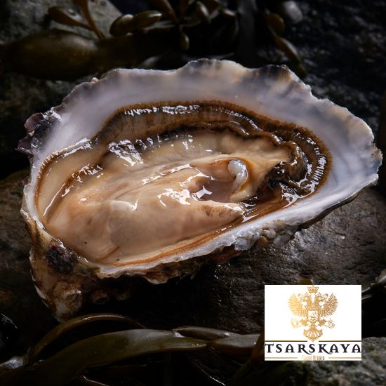 Speciale Oyster TSARSKAYA