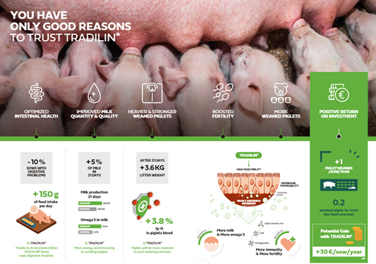 Tradilin® Sows